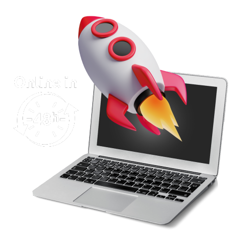 sito web professionale online in 48 ore