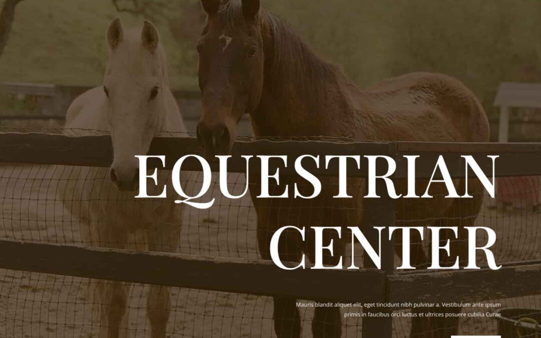 Equitazione