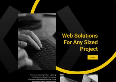 Sviluppatore web